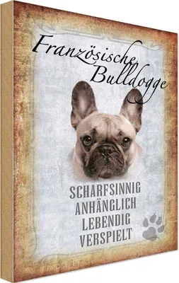 Produktbild von vianmo Holzschild 18x12 cm Französische Bulldogge Hund Tier Haustier