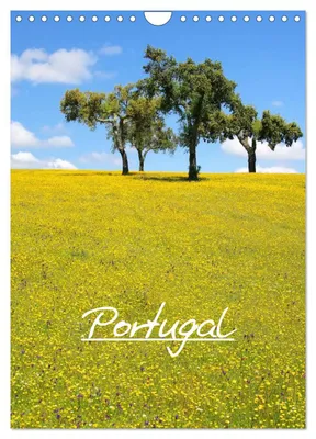 Produktbild von Portugal (Wandkalender 2027 DIN A4 hoch), CALVENDO Monatskalender
