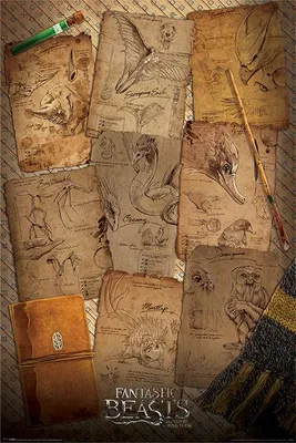 Image de Fantastic Beasts - Notebbok pages - 61x91,5cm - Affiche Poster