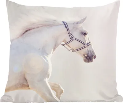 Produktbild von MuchoWow® Zierkissen Sofakissen Wohnzimmer Dekokissen 50x50 cm Pferd - Weiß - Mähne - Komfort - Sofakissen