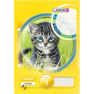 Produktbild von Schulblock A5 50 Blatt 80 g/qm 2-fach gelocht Lineatur 1