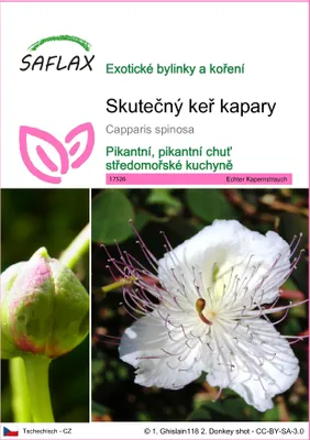 Obrázek produktu pro SAFLAX - Skutečný keř kapary - Capparis spinosa - 25 Semena