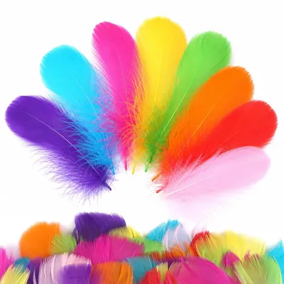 600 bunte Bastelfedern, 6–12 cm, für DIY-Projekte