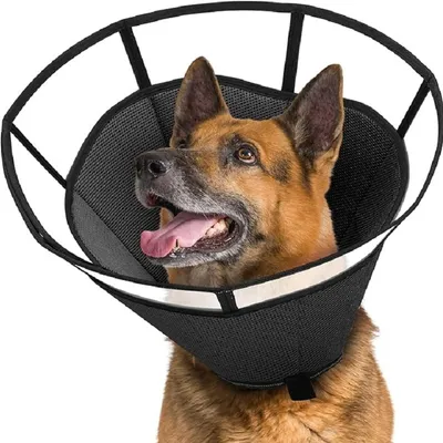 Produktbild von Weicher Hundekragen für Hunde nach Operationen, atmungsaktiver Genesungskragen für große, mittlere und kleine Hunde und Katzen, XL