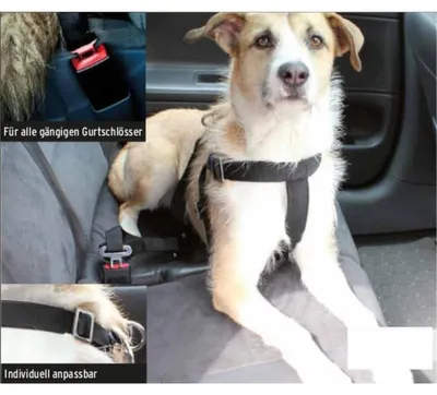Produktbild von Hunde Sicherheitsgurt 60-75cm Anschnallgurt Verbindungsgurt Auto Sicherheitsgurt