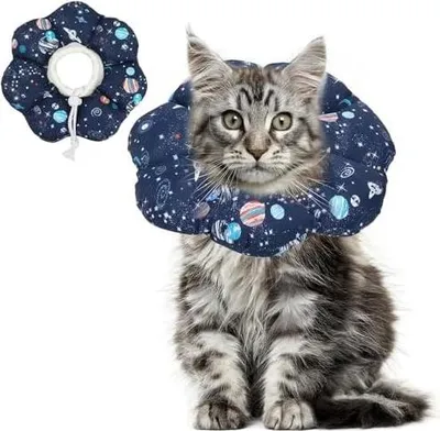 Produktbild von ComSaf Halskrause Katze Weich für Kleine Katzen,Halskrausen für Katzen Schützend und Verstellbar Nach Operationen, Komfortabler Leichter Elizabethan Behindert Nicht die Sicht, M