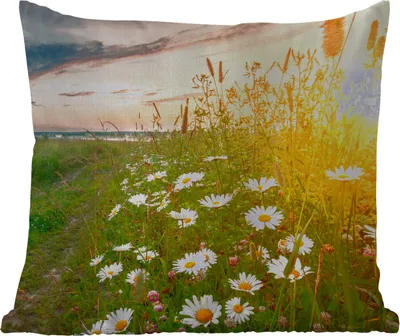 Produktbild von MuchoWow® Outdoor Kissen - Blumen - Gänseblümchen - Natur - Sonne - Horizont - 60x60 cm - Wetterfest - Lounge Kissen - Dekoration - Schlaf Kissen