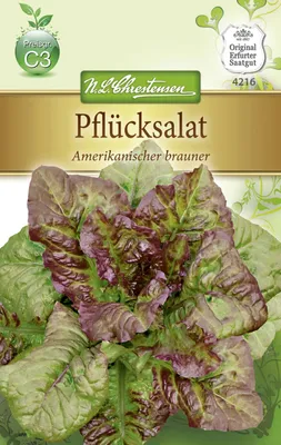 Produktbild von Pflücksalat Amerikanischer Brauner | Pflücksalatsamen von N.L. Chrestensen