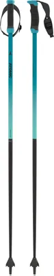 A pair of teal and black ski poles against a white background.