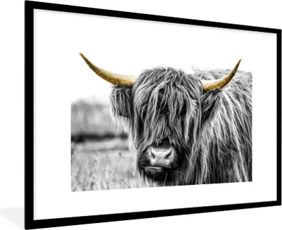 Produktbild von MuchoWow® Gerahmtes Poster Schottischer Highlander - Hörner - Gold - Schwarz 90x60 cm - Poster mit Schwarzem Bilderrahmen Wandposter Rahmen Foto Bilder - Wanddekoration - Fotos