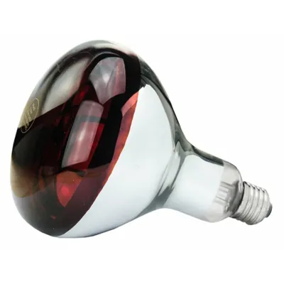 Immagine prodotto di Lampada a infrarossi 250 W vetro temperato rosso