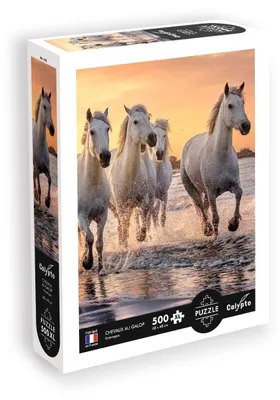 Productafbeelding van SentoSphere 7353, 500 stuks, Dieren, 8 jaar/jaren