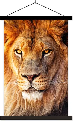 Produktbild von MuchoWow® Textilposter Löwe - Porträt - Farben 40x60 cm mit schwarzem Rahmen - Wanddekorationen