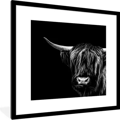 Produktbild von MuchoWow® Gerahmtes Poster Schottischer Highlander - Horn - Schwarz - Weiß 40x40 cm - Poster mit Schwarzem Bilderrahmen Wandposter Rahmen Foto Bilder - Poster - Plakat im Rahmen