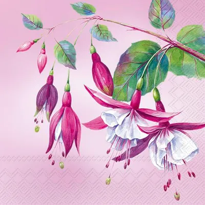Produktbild von Servietten 33x33 cm - LUISA pink