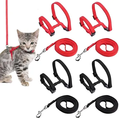 Immagine prodotto di Collari per gatti con guinzaglio, antiscasso, confezione da 4 pezzi, regolabili, in nylon, adatti a gatti e cani