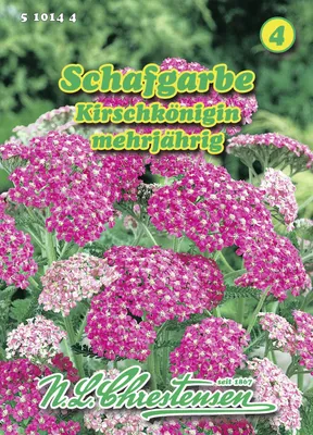 Artikelbild 1 von 'could not prepare statement [Connection is closed] [select d1_0.id,d1_0.changeTrackingIgnoredFields,d1_0.config,d1_0.created_at,d1_0.customer_id,d1_0.databasetype,d1_0.schema_id,d2_0.id,d2_0.created_at,d2_0.customer_id,d2_0.fielddefiniti