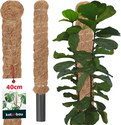 Produktbild von KOTARBAU® Moosstab für Monstera ⌀ 3,2x40cm Rankhilfe für Zimmerpflanzen Pflanzstab Kokosstab  Pflanzenstütze aus Kokosfaser Braun