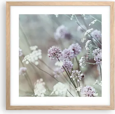 Produktbild von Gerahmtes Poster - Rahmen in heller Eiche - Wiese Knoblauch Blume - 40x40 cm - Wand Bild - Wanddeko - Wandbilder - Wandposter - Bilderrahmen - Bilder - Kunstdruck - Wandbild - P2NAC40x40-4177