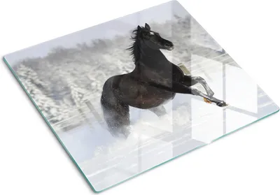 Immagine prodotto di Copertura per piano cottura – Copertura per piano a induzione – Piano di vetro protettivo – 60x52 cm – Piani di vetro protettivi per fornelli – Vetro temperato – Cavallo bianco