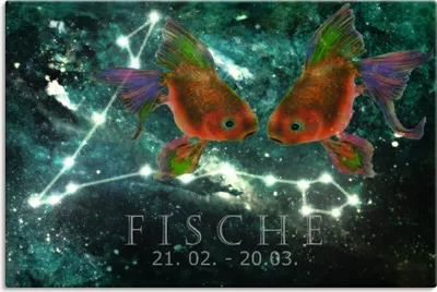 Produktbild von ARTland Leinwandbild Sternzeichen - Fische Größe: 30x20 cm