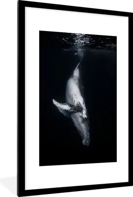 Produktbild von MuchoWow® Gerahmtes Poster Wale - Meerestiere - Meer - Natur 60x90 cm - Poster mit Schwarzem Bilderrahmen Wandposter Rahmen Foto Bilder - Dekoration - Wandposter Wohnzimmer - Hochwertig