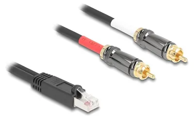 Obrázok produktu pre DELOCK Adapter RJ45 Stecker zu 2 x Cinch Stecker schwarz 2 m