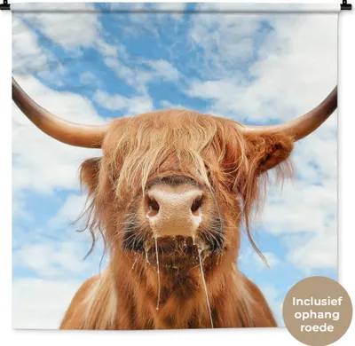 Produktbild von MuchoWow® Wandteppich Wandbehang Schottisches Hochlandrind - Wolke - Tiere 120x120 cm Tapisserie Dekoration Wandtuch - Modern - Baumwollgewebe