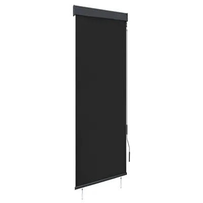 Obrázek produktu pro Maison Exclusive – venkovní roleta 60 x 250 cm, antracitová