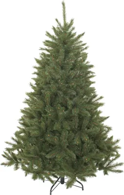 Image de Triumph Tree Arbre de Noël artificiel Bristlecone - 127x127x215 cm - Aiguille dure - Vert