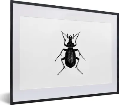 Produktbild von MuchoWow® Gerahmtes Poster Schwarz und weiß - Käfer - Vintage - Insekten 40x30 cm - Poster mit Schwarzem Bilderrahmen Wandposter Rahmen Foto Bilder - Bilderrahmen - Poster im Rahmen