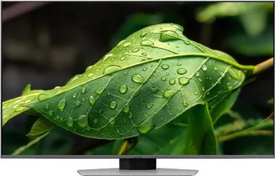 Produktbild von Samsung Q80D 50" QLED 4K Tizen OS™ Smart TV (2024), 127 cm (50"), 3840 x 2160 Pixel, QLED, Smart-TV, WLAN, Silber