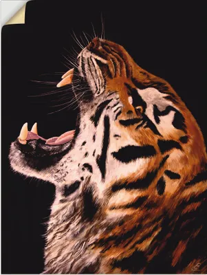 Produktbild von ARTland Wandbild, selbstklebend Tiger Größe: 30x40 cm