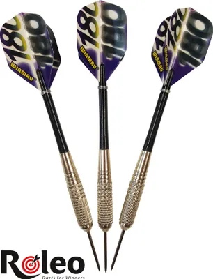 Obrázek produktu pro Šipky Steeldart R-3 od Roleo Darts - 19g včetně krabičky na šipky