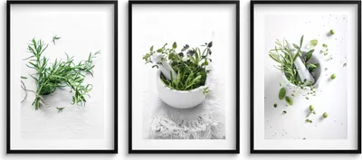 Produktbild von Küchenwandposter Kräuter Zweige Küchendeko 3x 30x40