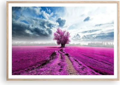 Produktbild von Gerahmtes Poster - Rahmen in heller Eiche - Heidefeld Baum Wolken Landschaft - 100x70 cm - Wand Bild - Wanddeko - Wandbilder - Wandposter - Bilderrahmen - Bilder - Kunstdruck - P2NAA100x70-2547