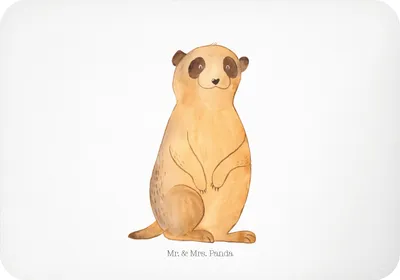 Produktbild von Mr. & Mrs. Panda Kühlschrankmagnet Erdmännchen - Weiß - Geschenk, Reisen, Traveling, whiteboardmagnet, tafelmagnet, Afrika, Spruch, haftmagnet, Roadtrip, holzmagnet