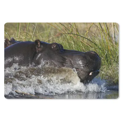Produktbild von MuchoWow® Schreibtischunterlage Nilpferd - Wasser - Gras 60x40 cm - XXL Mauspad - Großes Mauspad