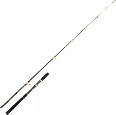 Zdjęcie produktu dla Cinnetic Crazy Kayak Gold Edition Spinning Rod Black 2.10 m / 5-30 Lbs Black 2.10 m