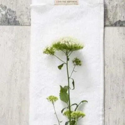 Obrázek produktu pro Walra Ručník pro hosty z měkké bavlny (30 x 50 cm) – 2 ks. Bílá