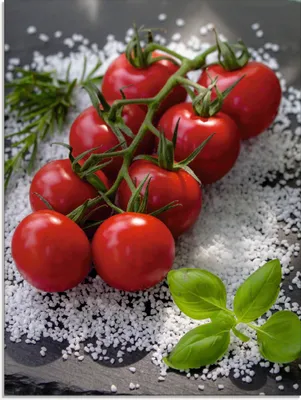 Produktbild von ARTland Glasbild Tomaten Rispe auf Salz Größe: 45x60 cm