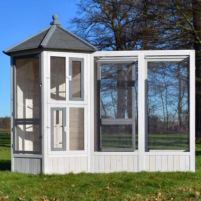 Produktbild von zooprinz Vogelvoliere Luise | mit Anbau | Wetterfest | Kiefernholz | Bitumendach | 180 cm Höhe
