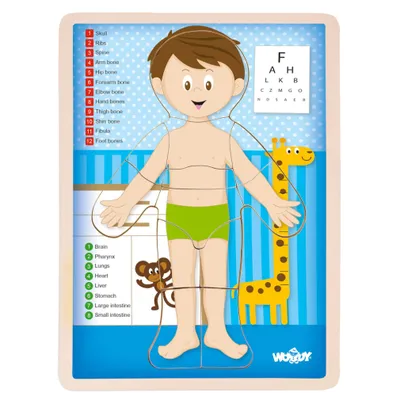 Produktbild von Woody Puzzle "Menschlicher Körper" - Junge - Englisch