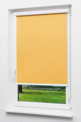 Produktbild von Lysel Outlet - Kassettenrollo abdunkelnd Aprikose, (B x H) 40cm x 175cm in orange/aprikose
