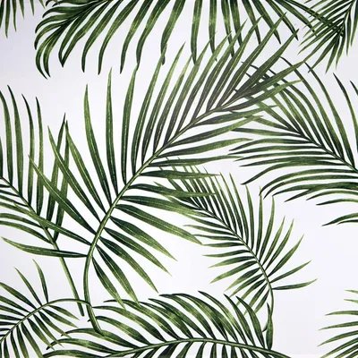 Produktbild von Selbstklebende Dekorfolie mit Palmenblättern