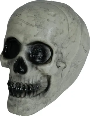 Produktbild von Skelett Schädel Halloween Dekoration Gruselaccessoire Totenkopf Dekorationsidee Horrorobjekt Schauergestalt Wohnakzent Atmosphärisches Highlight Eindrucksvolles Motiv 20 cm, Farbe: Weiß