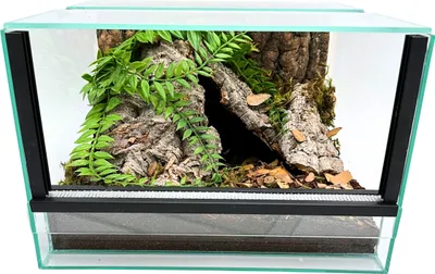 Immagine prodotto di Terrario in vetro con accessori, set 30x30x20 cm per ragni terrestri