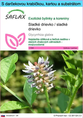 Obrázok produktu pre SAFLAX Darčeková sada - Sladké drievko / sladké drievko - Glycyrrhiza glabra - 30 Semená - S darčekovou krabičkou, prepravným štítkom, darčekovou kartou a pestovateľským médiom
