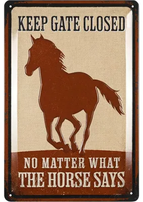 Produktbild von Retro Blechschild PFERDE Schild, TOR SCHLIEßEN, Geschenke für Pferdeliebhaber und Reiter, Boxenschilder mit Spruch 20x30cm