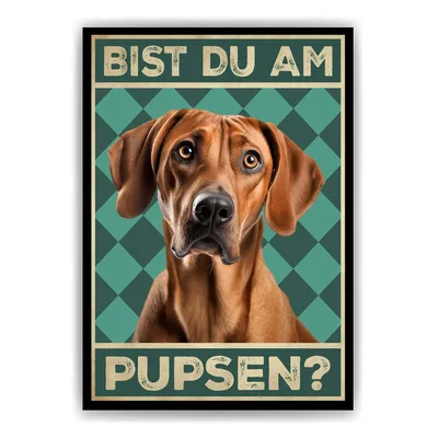 Produktbild von Rhodesian Ridgeback - Bist du am Pupsen? Hunde Poster Badezimmer Gästebad Wandbild Klo Toilette Dekoration Lustiges Gäste-WC Bild DIN A4 – DIN A4 (21x29.7cm)